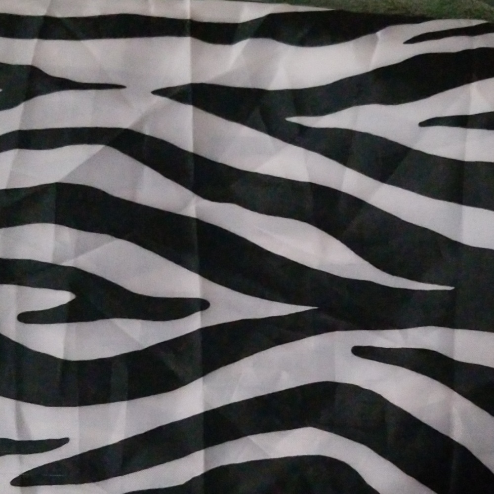 Zebra shower curtain